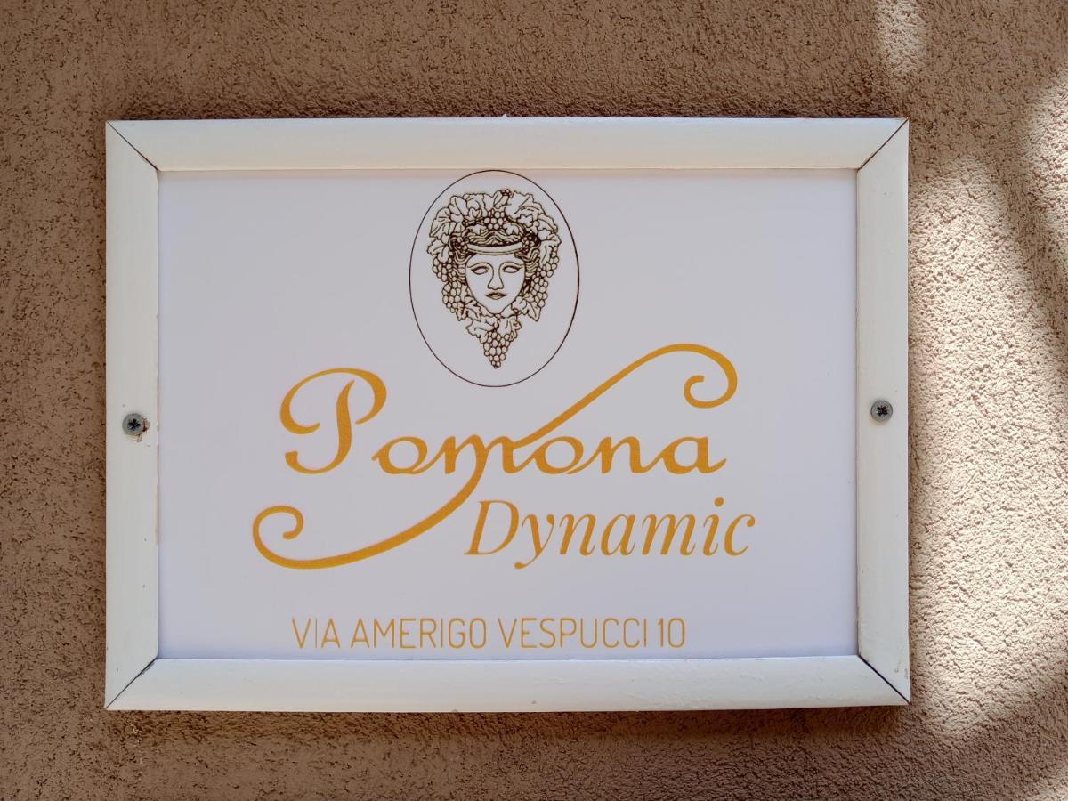 فيلا نوتوفي Pomona Dynamic المظهر الخارجي الصورة